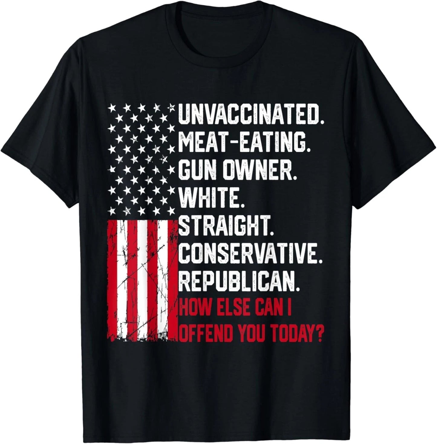 How Else Can I Offend You Today Funny Saying Quote Usa Flag Gift Unisex T-Shirt