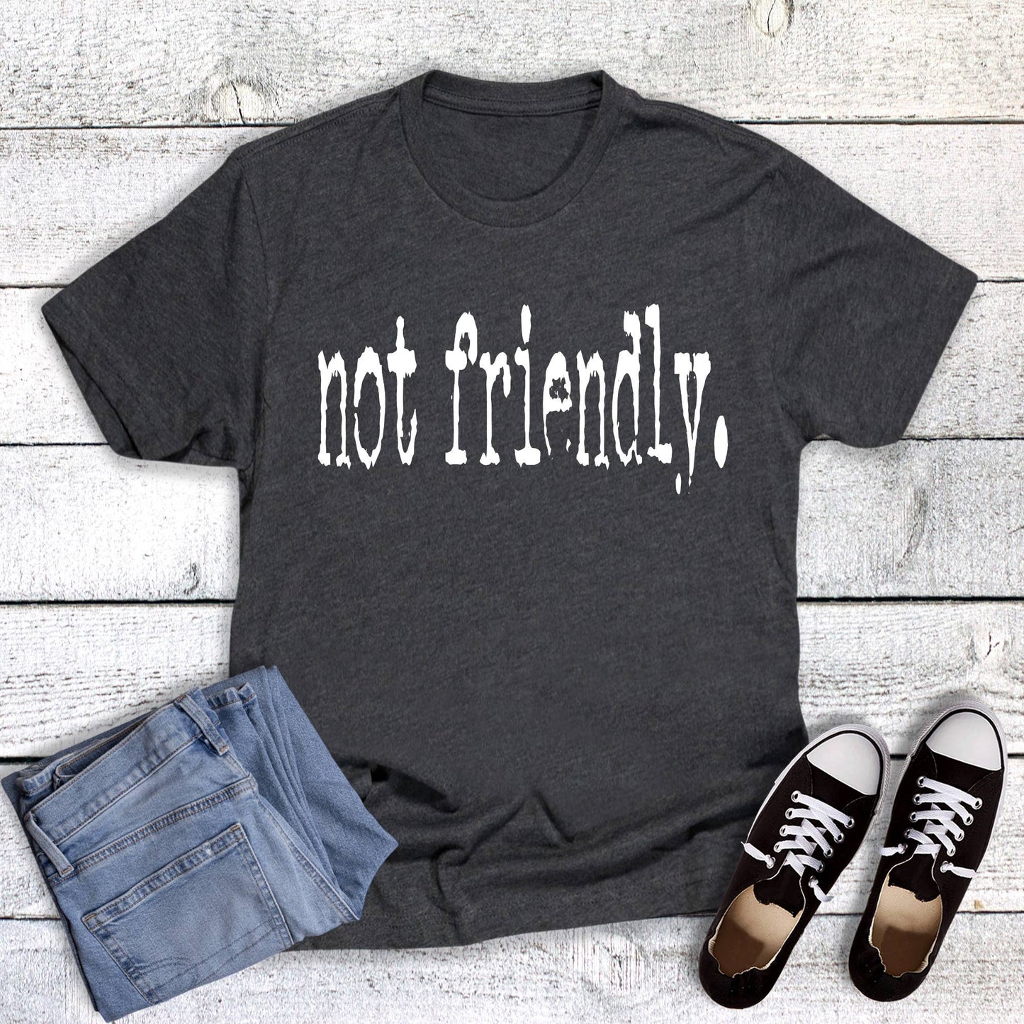 Funny Not Friendly Graphic Tee