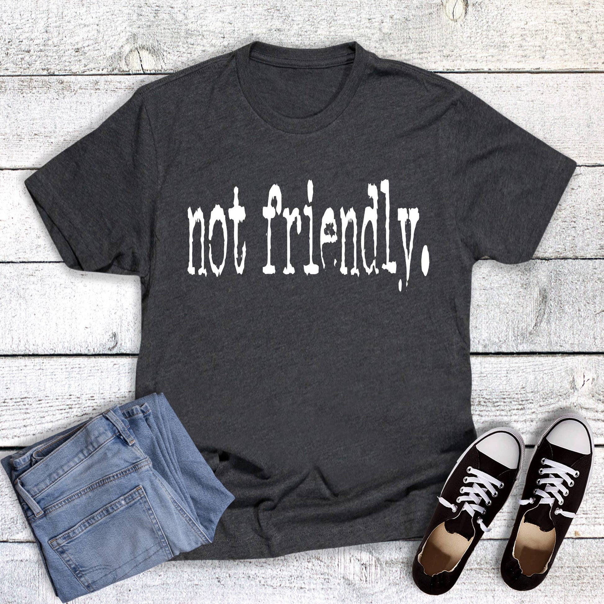Funny Not Friendly Graphic Tee