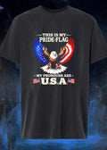 This Is My Pride Flag My Pronouns Are USA Eagle Shirt