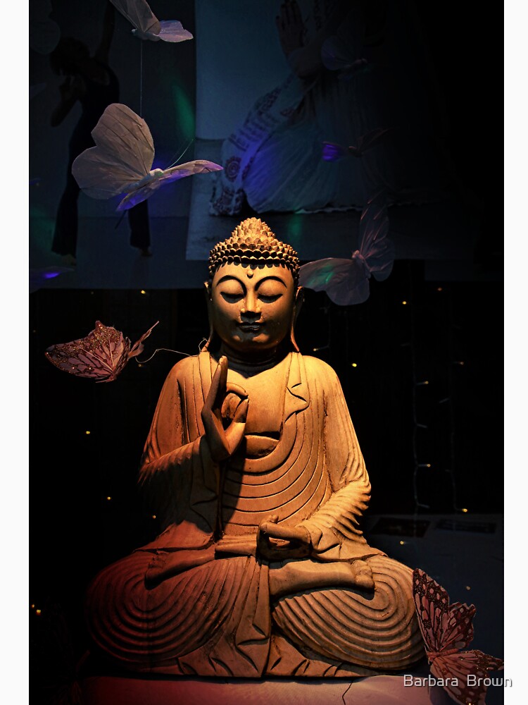 Meditation by Barbara  Brown