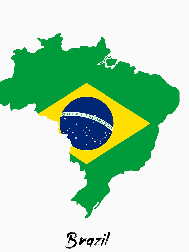 The Flag of Brazil by theartist121