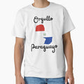 Paraguayan Pride in spanish by Tienda-Vane