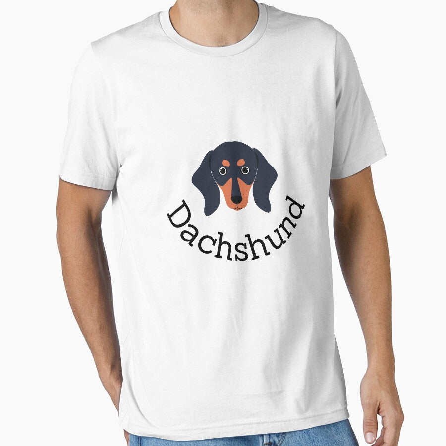 Cute Dachshund by Akos Akos