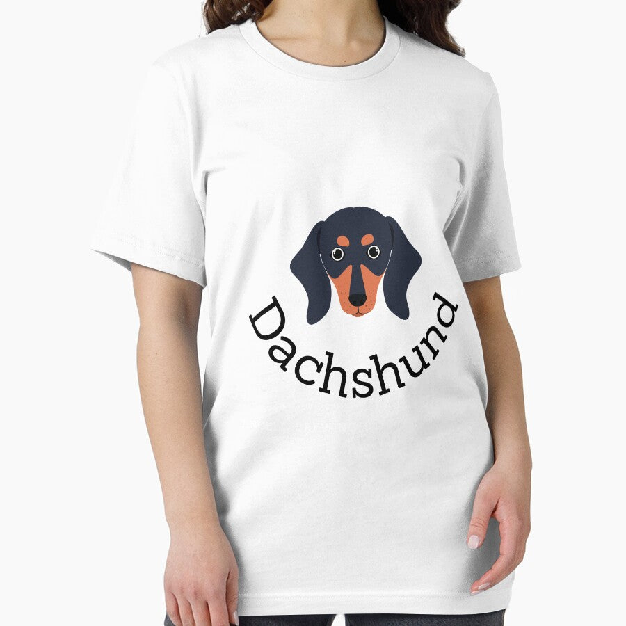 Cute Dachshund by Akos Akos